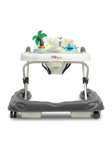 Toyz Surf Fly staigulis 3